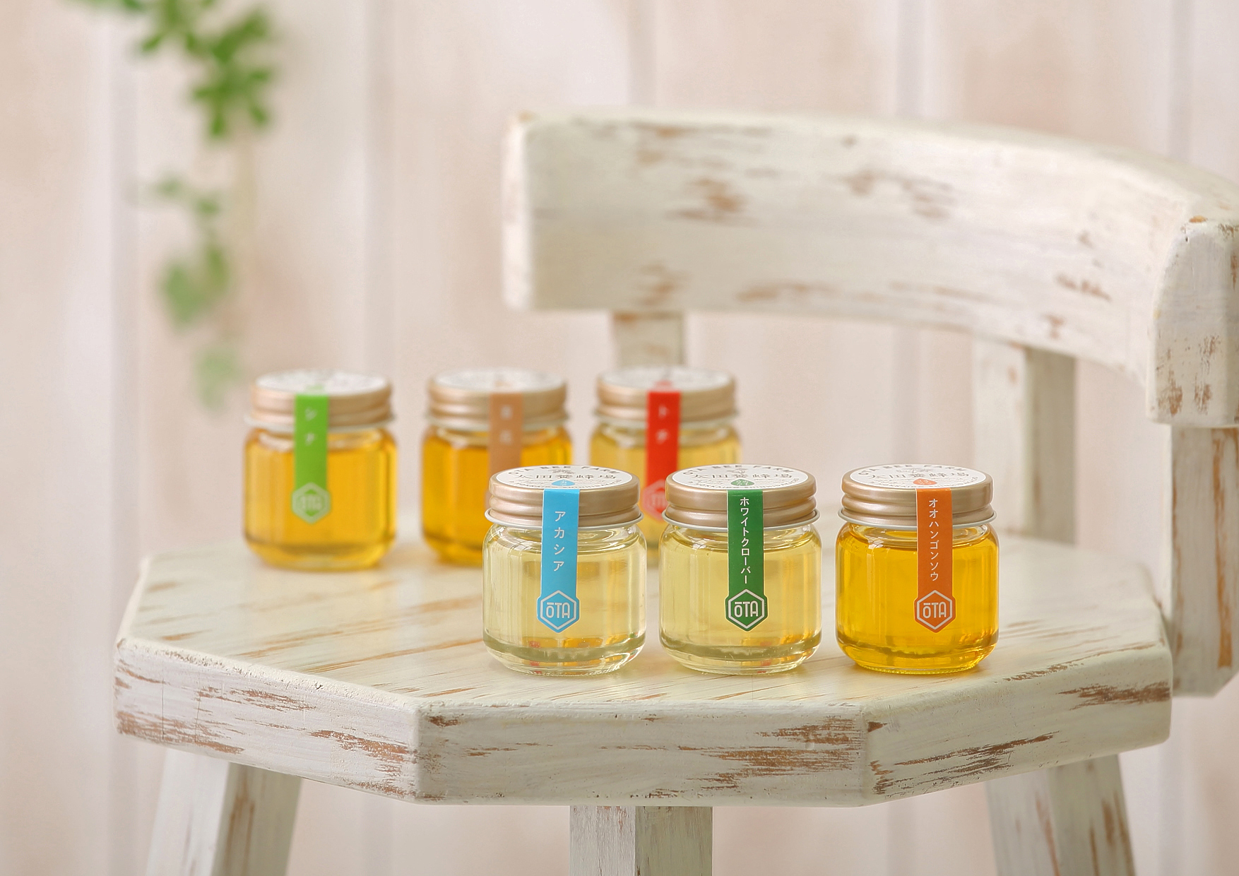 小さなはちみつが椅子の上で6個並んでいる